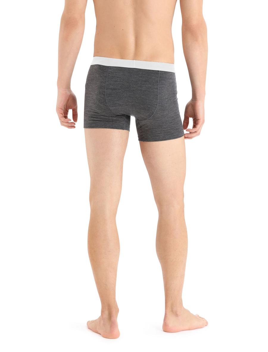 Bielizny Icebreaker Cool-Lite™ Merino Anatomica Boxers Męskie Taupe | PL 1628MQZA